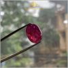 Viên Ruby Cabachon Lục Yên 14,1ct đẹp tự nhiên