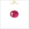 Viên Ruby Cabachon Lục Yên tự nhiên 3,40ct - IRRB 236340 hình ảnh 4