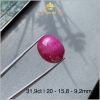 Viên Ruby Cabochon Lục Yên màu đỏ đẹp 31,9ct - IRRB 236319 hình ảnh 1