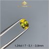 Viên Sapphire Bicolor 3 màu tự nhiên 1,24ct - IRSP 234124 hình ảnh