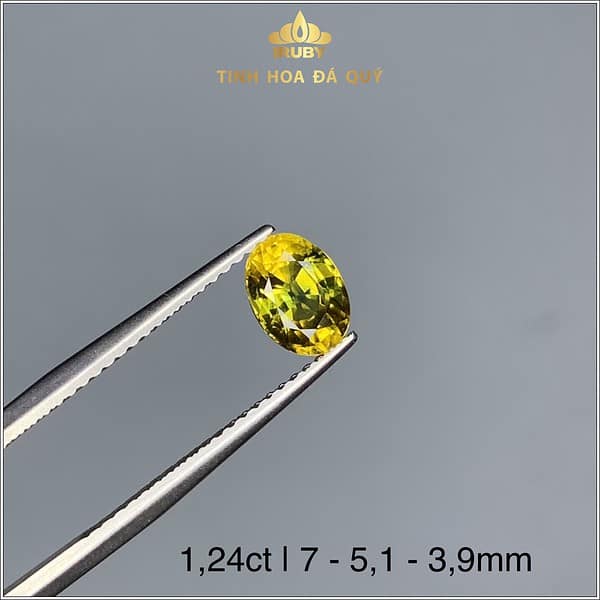 Viên Sapphire Bicolor 3 màu tự nhiên 1,24ct - IRSP 234124 hình ảnh