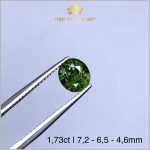 Viên Sapphire màu xanh lục 1,73ct – IRSP 236173