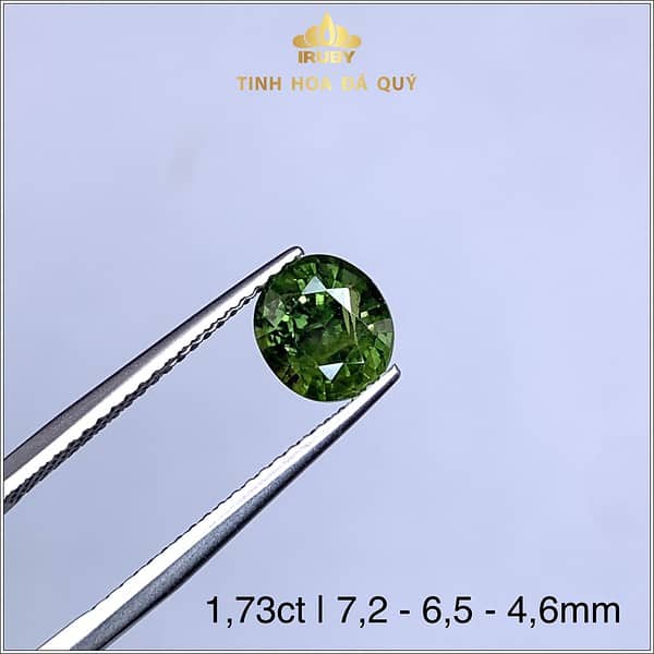 Viên Sapphire màu xanh lục 1,73ct - IRSP 236173 hình ảnh