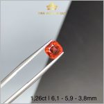 Viên đá Garnet màu đỏ cam 1,26ct – IRGN 234126
