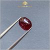 Viên Ruby Cabochon Lục Yên tự nhiên 2,00ct - IRRB 23720 hình ảnh 1