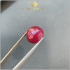 Viên Ruby Cabochon hàng tự nhiên Lục Yên 10,9ct - IRRB 237109 hình ảnh 2