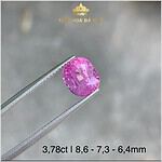 Viên Sapphire phớt hồng tự nhiên nguyên bản 3,78ct – IRSP 237378