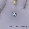 Viên Topaz màu trắng tinh khiết tự nhiên 2,62ct - IRTP 237262 hình ảnh