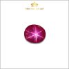 Viên Ruby sao Nghệ An 3,43ct tự nhiên IRSR140 - 238343 hình ảnh hình ảnh 4