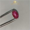 Viên Ruby sao Yên Bái tự nhiên 100% 8,43ct IRSR136 - 23884 hình ảnh 1