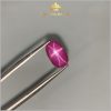 Viên Ruby sao bọc thép Nghệ An 3,30ct tự nhiên 100% IRSR141 - 238330 hình ảnh 1