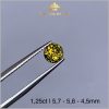 Viên Sapphire Bicolor tự nhiên 100% 1,25ct - IRSP 238125 hình ảnh