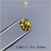 Viên Sapphire bicolor tự nhiên 100% 1,16ct - IRSP 238116 hình ảnh