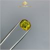 Viên Sapphire màu vàng 7,48ct tự nhiên IRYS122 - 23874 hình ảnh 3