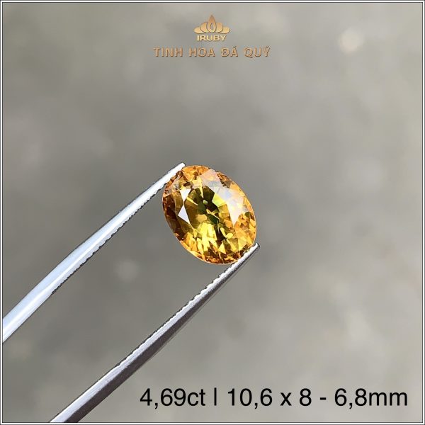 Viên Sapphire màu vàng đậm tự nhiên 4,69ct – IRYS124 238469 hình ảnh 1