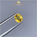 Viên Sapphire màu vàng đẹp tự nhiên 100% 1,11ct – IRSP 238111