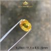 Viên Sapphire màu vàng đẹp tự nhiên 4,23ct IRYS119 - 23842 hình ảnh