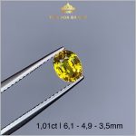 Viên Sapphire màu vàng tự nhiên nguyên bản 1,01ct – IRSP 238101