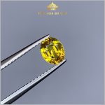 Viên Sapphire màu vàng tự nhiên nguyên bản 1,01ct – IRSP 238101