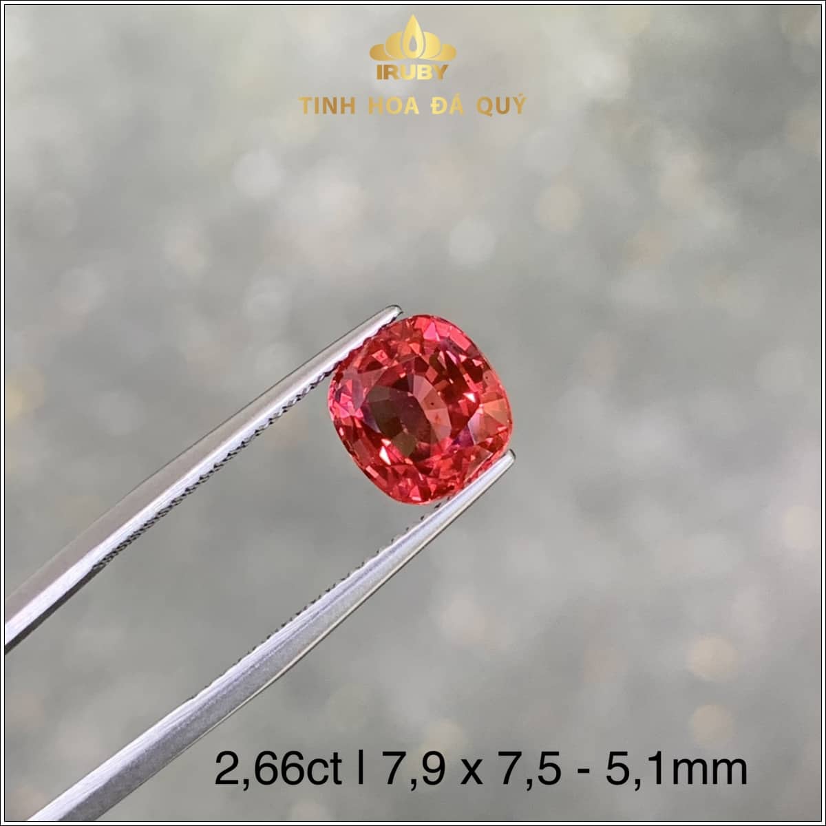 Viên Spinel màu đỏ hồng Lục Yên 2,66ct - IRSI52 238266 hình ảnh 
