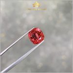 Viên Spinel màu đỏ hồng Lục Yên 2,66ct – IRSI52 238266