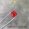 Viên Spinel màu đỏ sáng Lục Yên 2,29ct tự nhiên 100% IRSI57 - 238229 hình ảnh