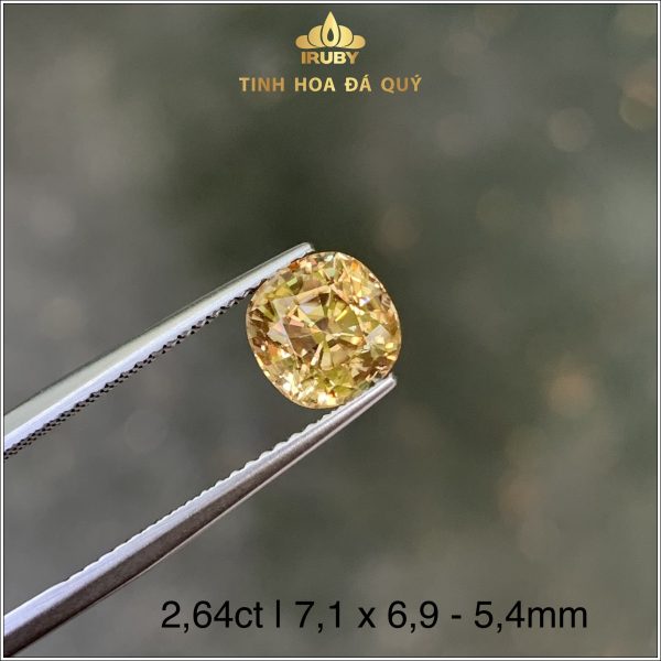 Viên Zircon màu vàng Gold tự nhiên 100% 2,64ct IRZC08 - 238264 hình ảnh