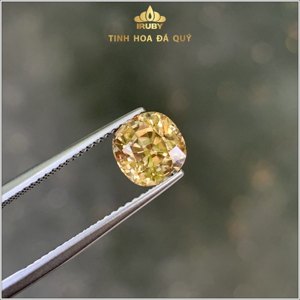 Viên Zircon màu vàng Gold tự nhiên 100% 2,64ct IRZC08 - 238264 hình ảnh 1