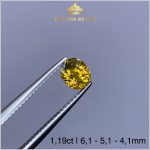 Viên Sapphire vàng tự nhiên 1,19ct – IRSP 238119