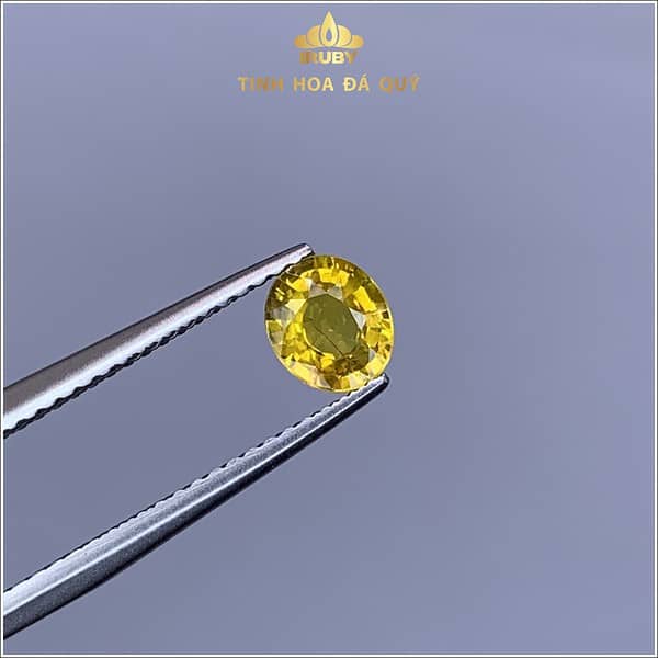 Đá Sapphire vàng tự nhiên khối Oval 0,75ct - IRSP 238075 hình ảnh 2