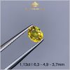 Viên Sapphire 1,13ct vàng tự nhiên - IRSP 238113 hình ảnh 3