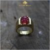 Nhẫn nam Ruby mẫu doanh nhân - IRRB 239567 hình ảnh