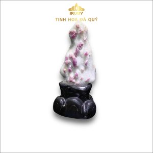 Cây Ruby cộng sinh đá tinh thể tự nhiên 100% - IRPT230903 hình ảnh 5