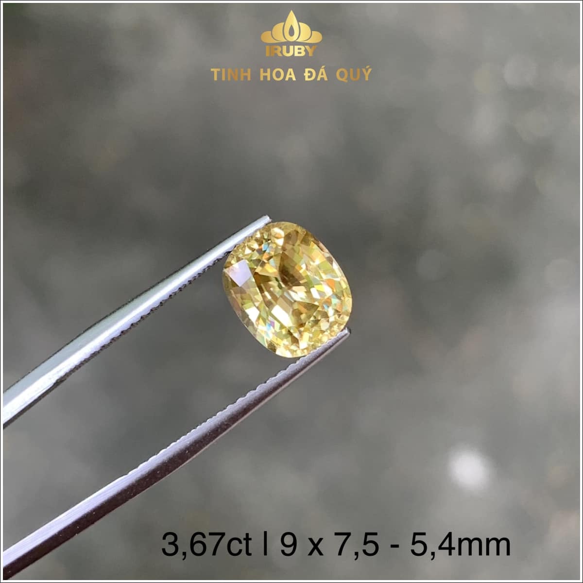 Viên Zircon vàng tự nhiên 3,67ct IRZC14 - 239367 hình ảnh 3