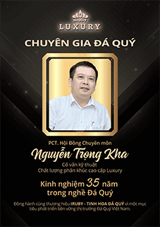 Phó Chủ Tịch Lê Trọng Kha cố vấn kỹ thuật hội đồng cấp cao của IRUBY.VN