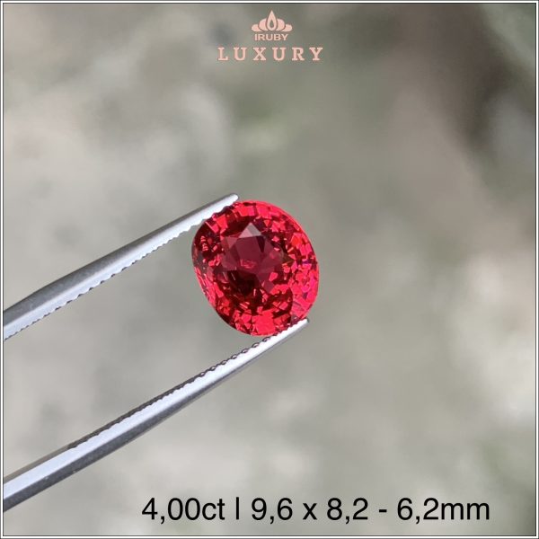 Viên Spinel đỏ rực Lục Yên 4,00ct - IRSI67 2311400 hình ảnh 2