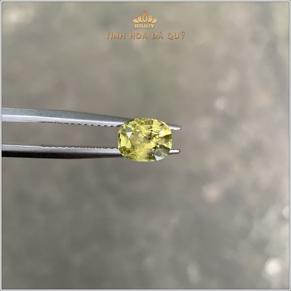 Viên Sapphire vàng thiên nhiên 100% 1,39ct - IRYS146 2312139 hình ảnh 1