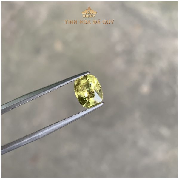 Viên Sapphire vàng thiên nhiên 100% 1,39ct - IRYS146 2312139 hình ảnh 2