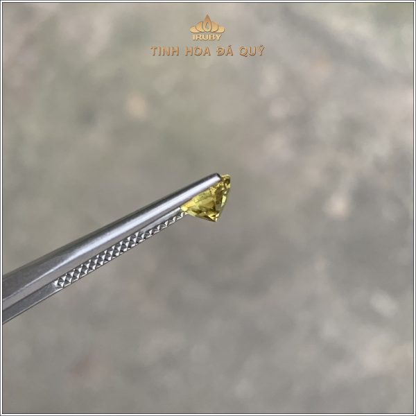 Viên Sapphire vàng thiên nhiên 100% 1,39ct - IRYS146 2312139 hình ảnh 4