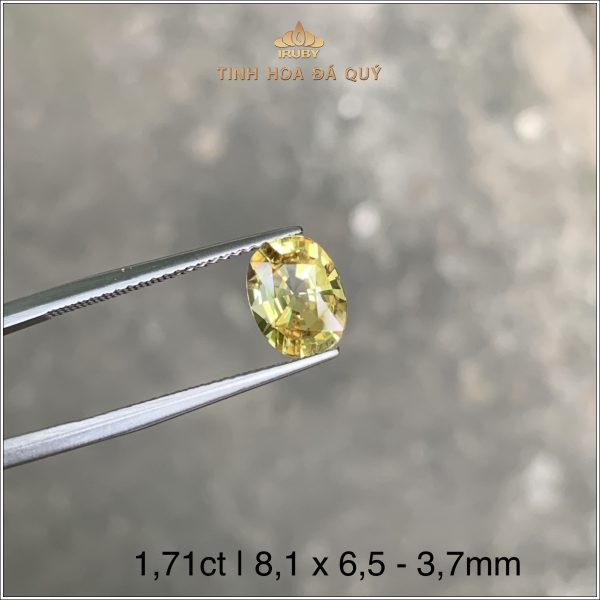 Viên Sapphire vàng thiên nhiên 100% 1,71ct - IRYS145 2312171 hình ảnh 3