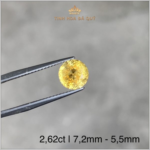 Viên Sapphire vàng tự nhiên 100% chưa qua nhiệt 1,62ct - IRYS152 2312162 hình ảnh 3