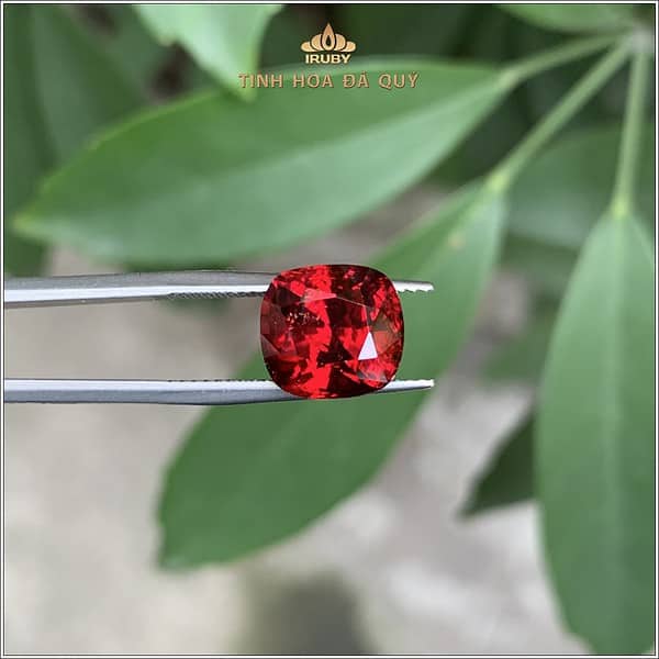 Garnet sở hữu vẻ đẹp cuốn hút năng lượng tình yêu