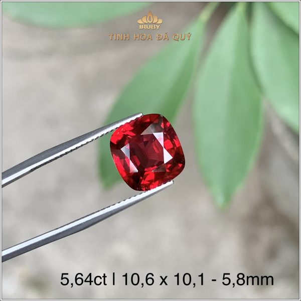 Đá Garnet tự nhiên 100% xuất xứ tại Lục Yên 5,64ct - IRGN98 2401564 hình ảnh 2