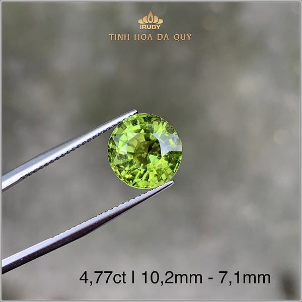 Đá Tourmaline xanh lục chiếu rực rỡ 4,77ct - IRTM34 2401477 hình ảnh 2