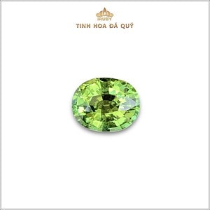 Đá Tourmaline xanh lục tươi sáng 4,13ct - IRTM33 2401413 hình ảnh