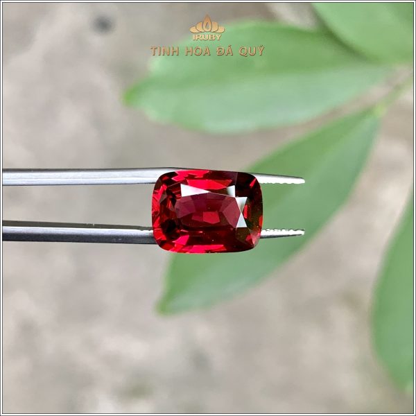 Viên Rhodolite Garnet Lục Yên 5,38ct - IRGN92 2401538 hình ảnh 5