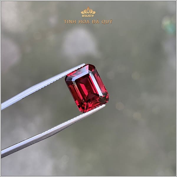 Viên Rhodolite Garnet với gam màu đẹp nhất 5,79ct - IRGN93 2401579 hình ảnh 2