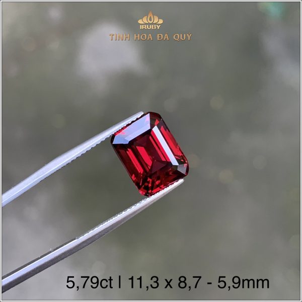 Viên Rhodolite Garnet với gam màu đẹp nhất 5,79ct - IRGN93 2401579 hình ảnh 3