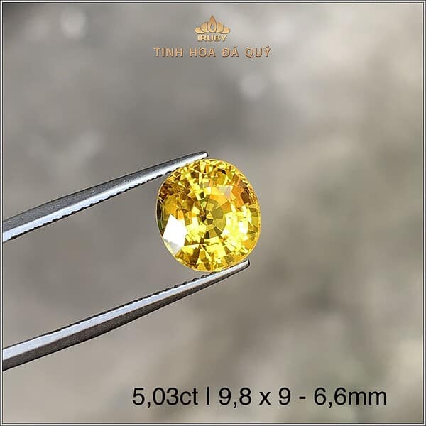 Viên Sapphire vàng thiên nhiên 5,03ct - IRYS157 2401503 hình ảnh 2