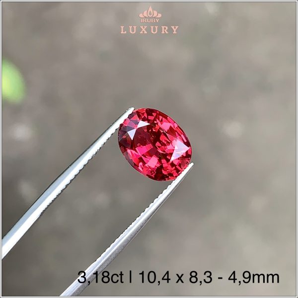 Đá Spinel đỏ tự nhiên 100% 3,18ct - IRSI84 2402318 hình ảnh 2